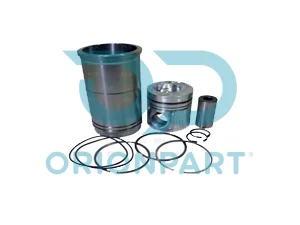 PISTON WITH LINER - 303486