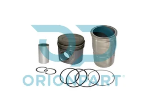 PISTON WITH LINER - 303530