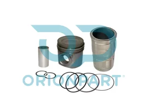 GÖMLEK PİSTON SEKMAN SETİ - 303544