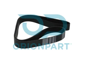 MULTIRIBBED BELT 8PK1538 - 404090