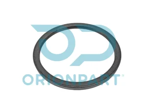 OIL SEAL - REAR - 303646