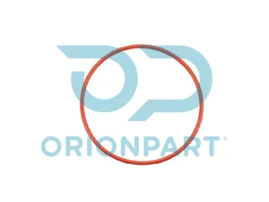 O-RING