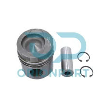 PISTON RING SET - 204614