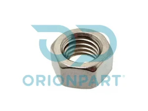 NUT - 504619