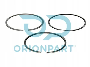 PISTON RING KIT - 504641