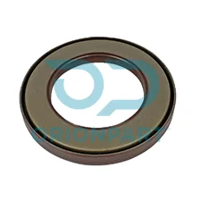 OIL SEAL REPLACES - 603404