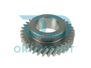 CONSTANT GEAR - 304296