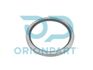 SEAL RING