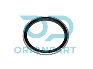 SEAL RING - 507113