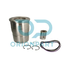 PISTON WITH LINER - 503375