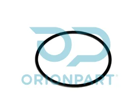 O-RING
