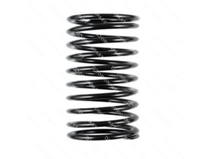 SHOCK ABSORBER SPRING - 501698
