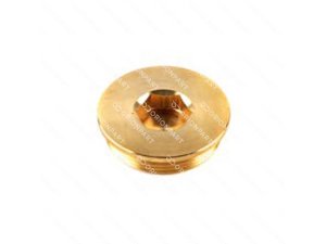 SCREW PLUG - 502010