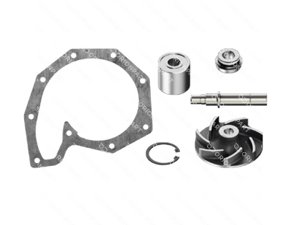 REPAIR KIT (WATER PUMP) - 601618