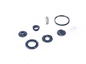 PRESSURE LIMITING VALVE REPAIR KIT - 107210