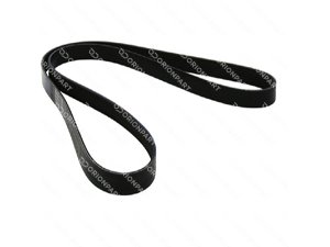 MULTIRIBBED BELT 8PK1255 - 402506