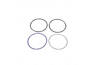 SEAL RING KIT - 504208