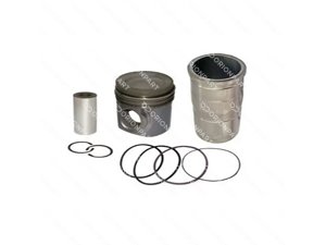 PISTON WITH LINER - 303481