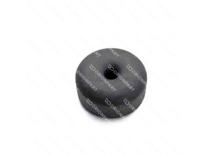 RUBBER BUSH