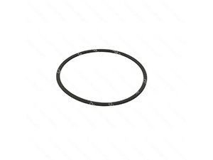 O-RING - 504571