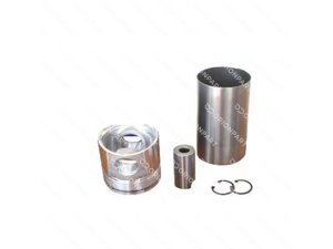 PISTON WITH LINER - 603283