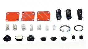 PROTECTION VALVE REPAIR KIT