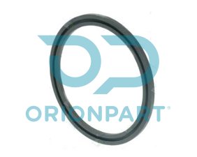 SEAL RING