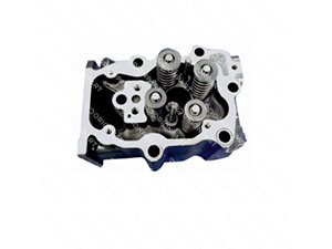 CYLINDER HEAD, WITH VALVES  - 401490